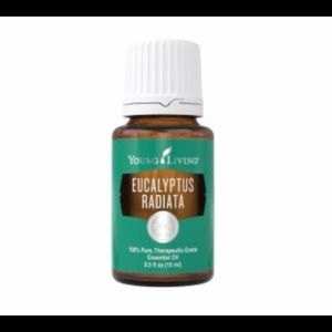 Eucalyptus Radiata Young Living essential oil